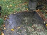 image of grave number 433115